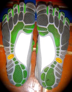 258515_243983942285365_6114738_o-1