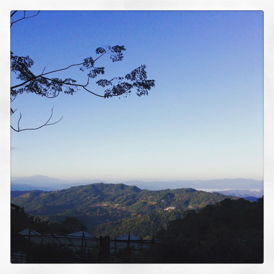 12295387_1244953365521746_5330460526239567266_n