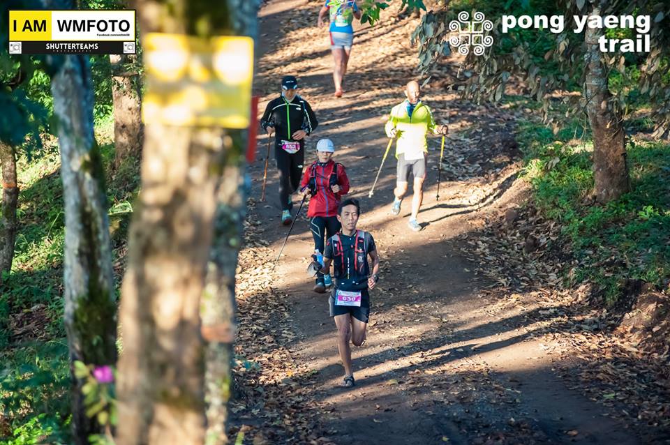 PYT2015 : My first true ultratrail and a lesson on&nbsp;hydration