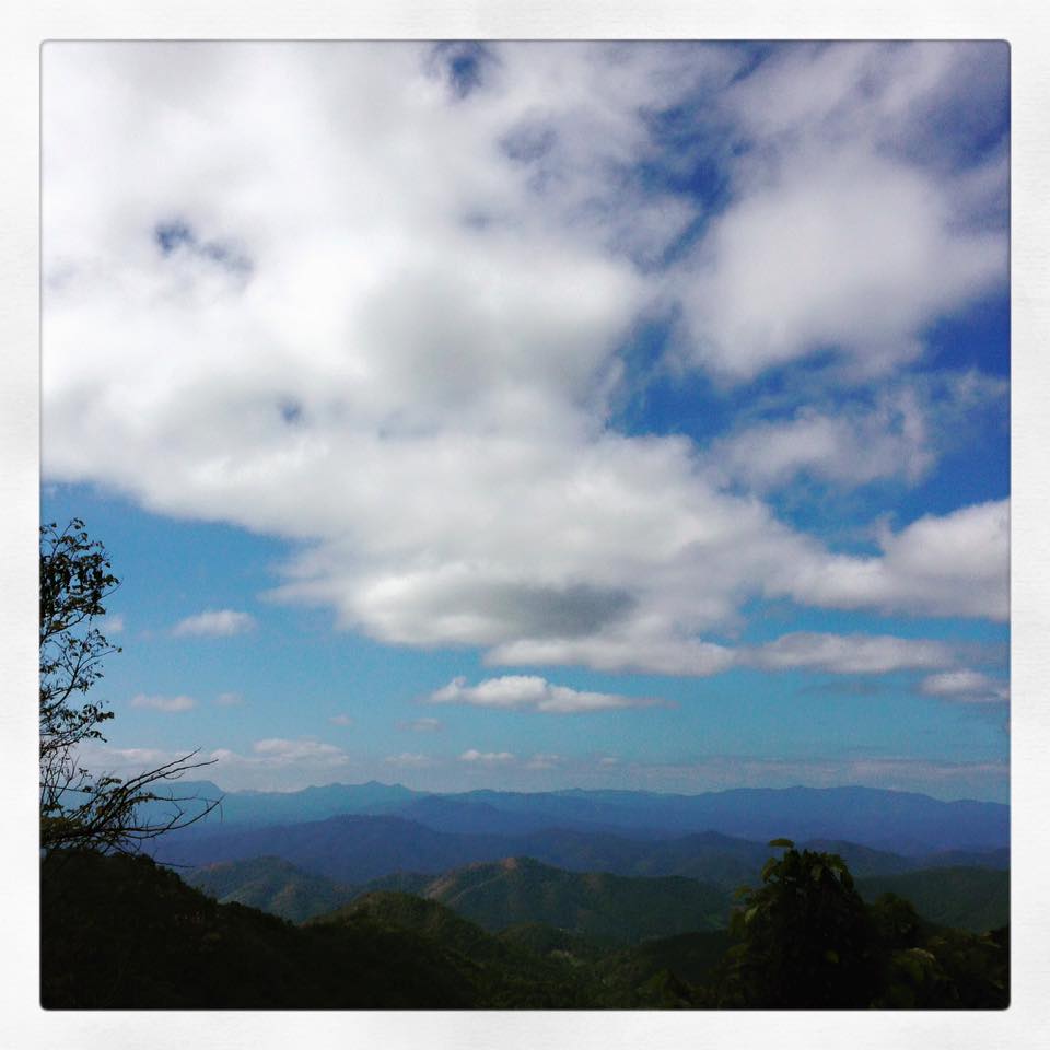 12360066_1244953442188405_6382826182020300903_n